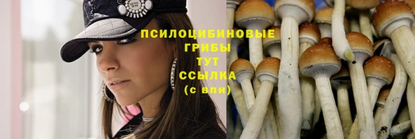 не бодяженный Армянск