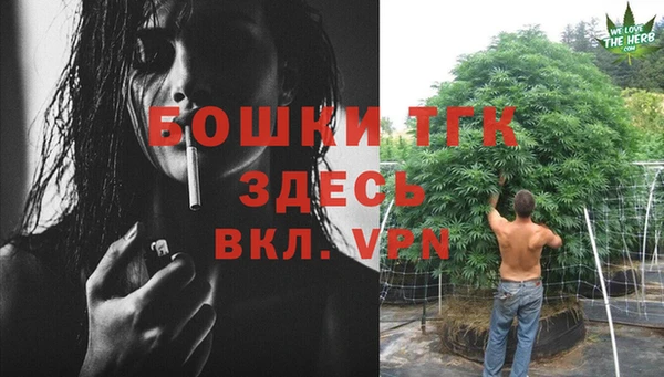 амф Аркадак
